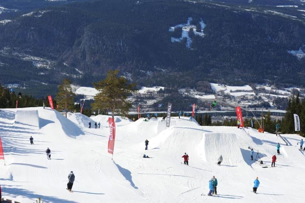 Leilighet Med Panoramautsikt Sjusjoen Innendors Parkering Екстер'єр фото
