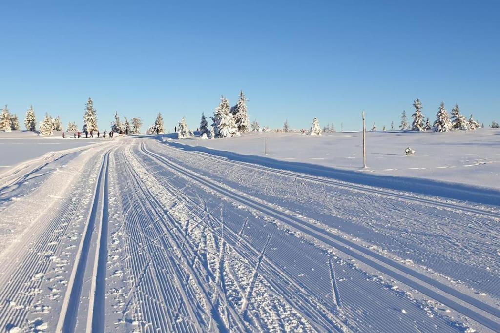 Leilighet Med Panoramautsikt Sjusjoen Innendors Parkering Екстер'єр фото